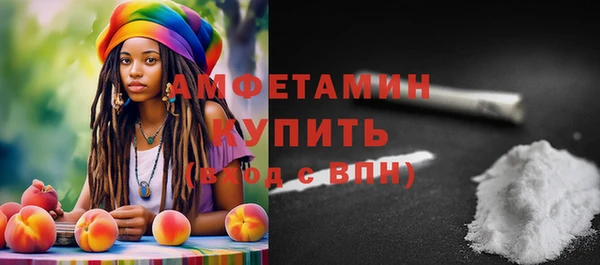 скорость Вяземский