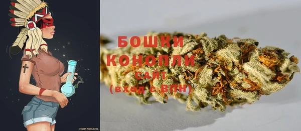хмурый Горняк